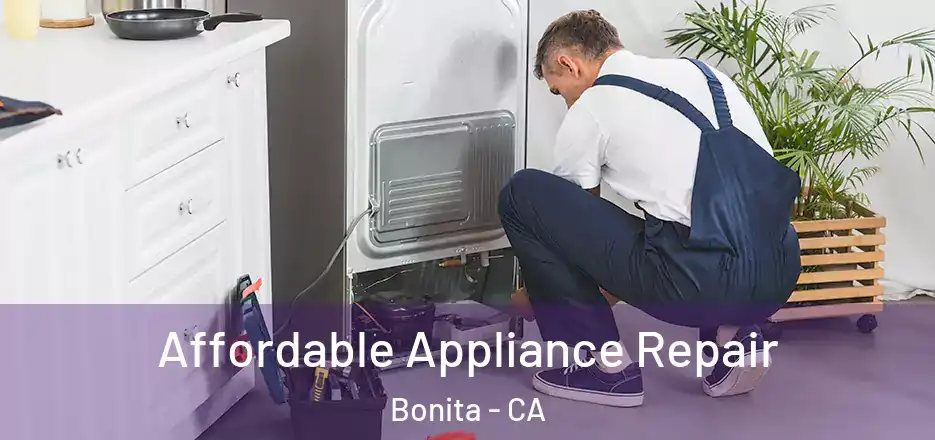 Affordable Appliance Repair Bonita - CA