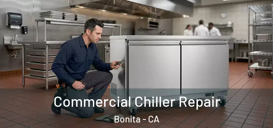 Commercial Chiller Repair Bonita - CA