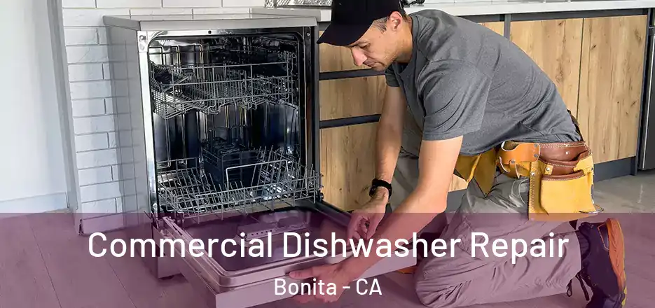 Commercial Dishwasher Repair Bonita - CA