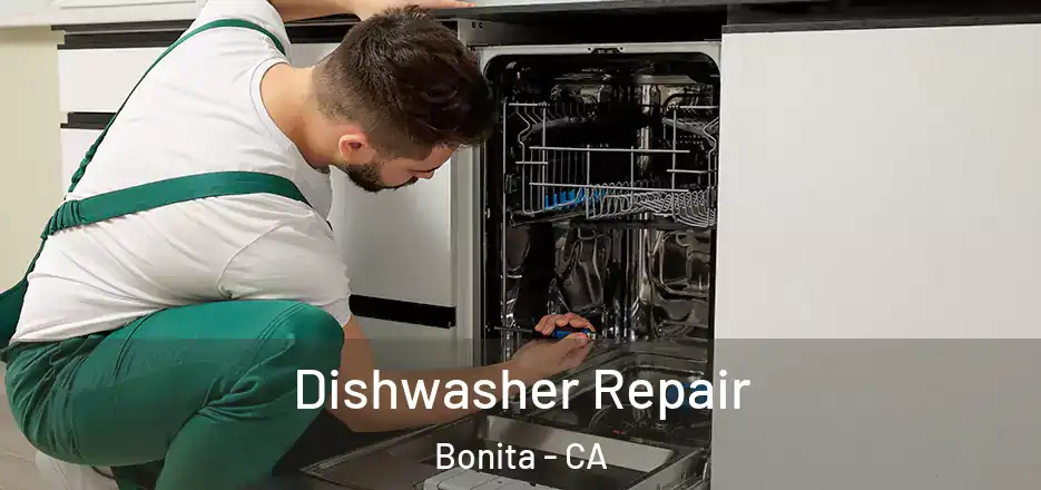 Dishwasher Repair Bonita - CA