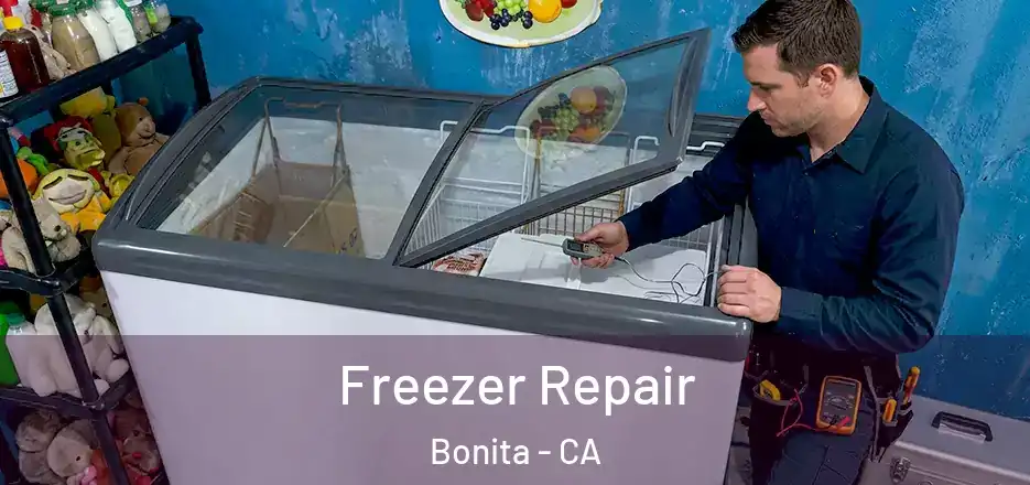  Freezer Repair Bonita - CA