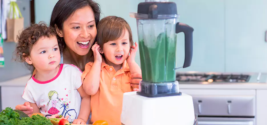 Juicer and Mixer Blender Repair in Bonita 
