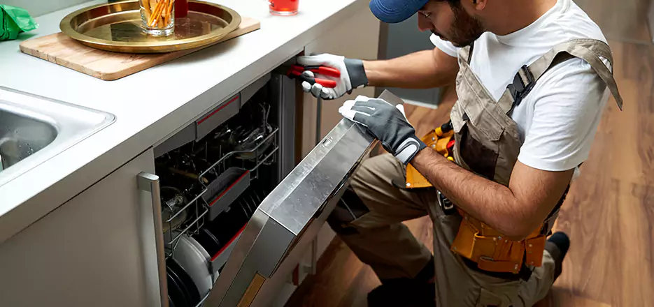 Same Day Dishwasher Not Draining Repair in Bonita