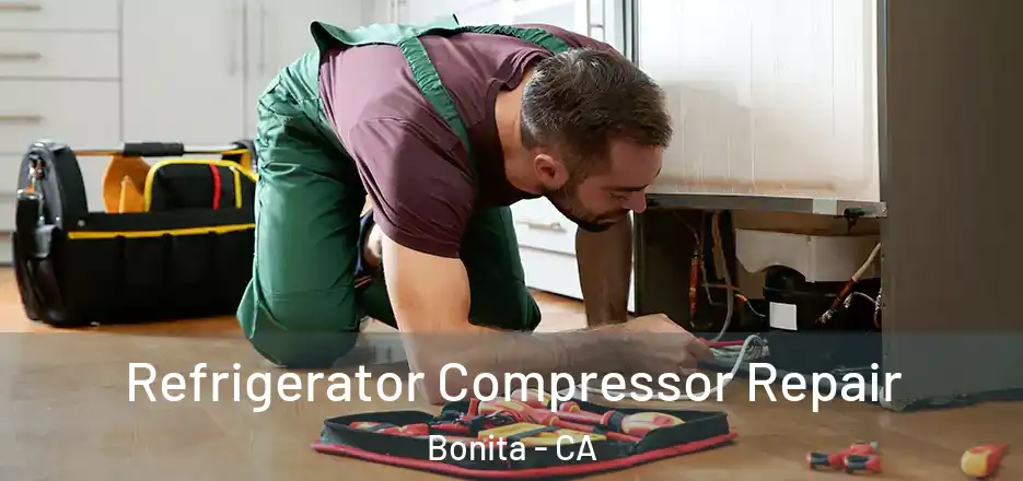 Refrigerator Compressor Repair Bonita - CA