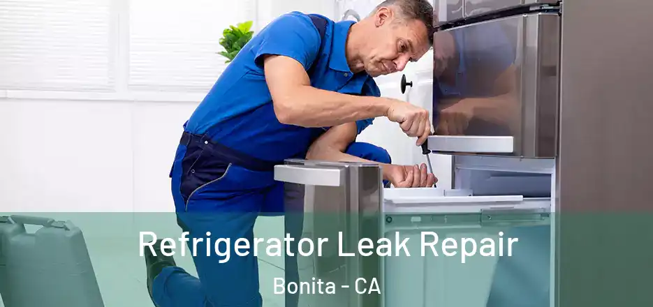 Refrigerator Leak Repair Bonita - CA