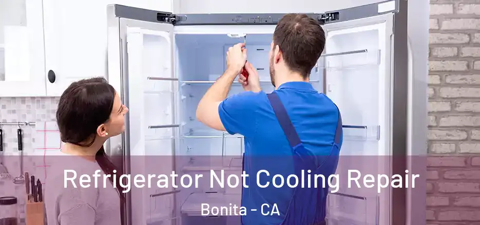 Refrigerator Not Cooling Repair Bonita - CA