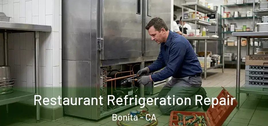  Restaurant Refrigeration Repair Bonita - CA