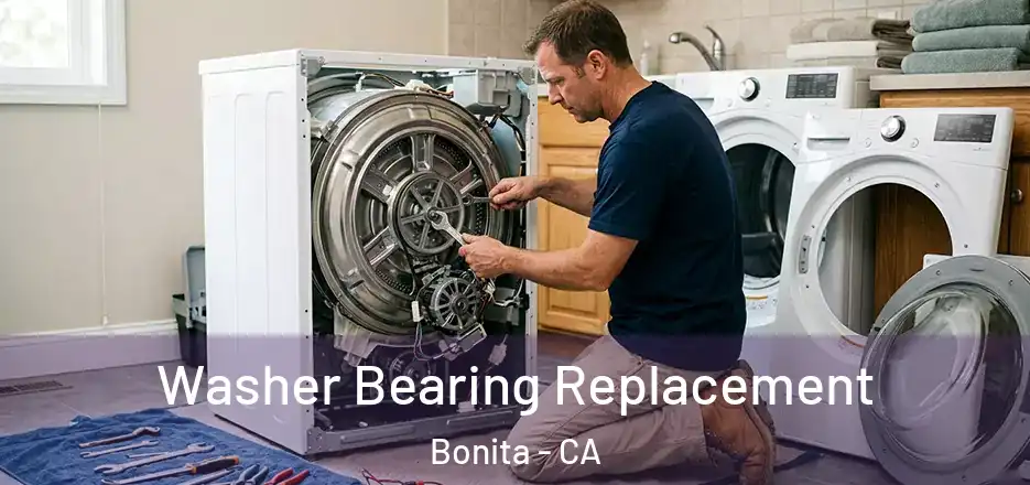Washer Bearing Replacement Bonita - CA